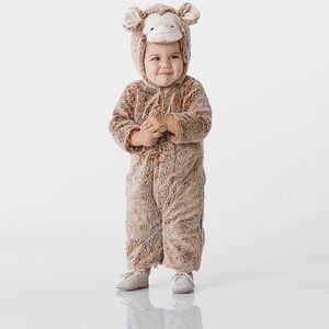 Pottery Barn Soft Monkey Costume